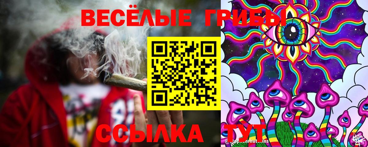 Псилоцибиновые грибы мицелий Сальск