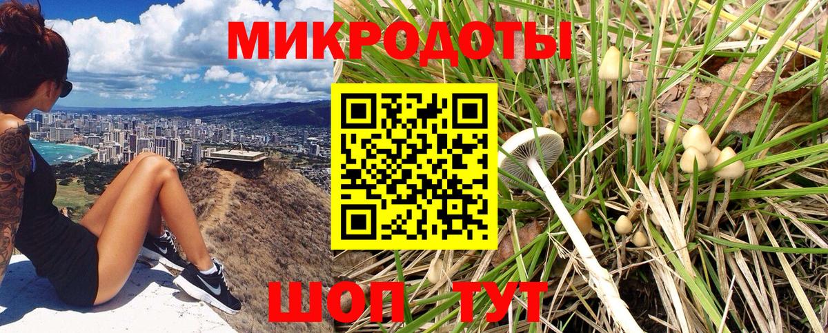 Галлюциногенные грибы Psilocybine cubensis  Псилоцибиновые грибы Psilocybe  Вход с VPN  закладка  Сальск 